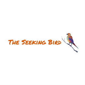 theseekingbird